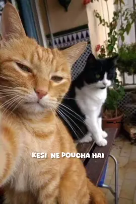 🤣#emaaqueen 