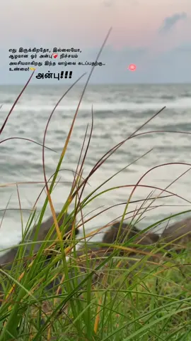 அன்பு தானே எல்லாமே🫳❤️‍🩹#Love #tamilsong #pradeepkumar #mayanadhi #foryou 