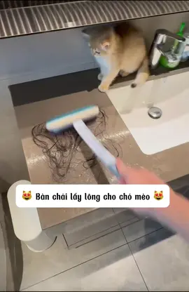 Nhà toàn lông boss rụng? 🐶🐱 Chỉ cần 1 cây bàn chải xịn – quét nhẹ, sofa sạch tinh tươm ✨ Đỡ mất công giặt giũ, boss tha hồ tung tăng 😍 #banchaitinhdien #thucung #viral  @Happy.Pets  @Happy.Pets  @Happy.Pets 