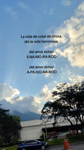 la vida de color de rosa 🥹❤️🗣️ #decolorrosa #belinda #enamorado 