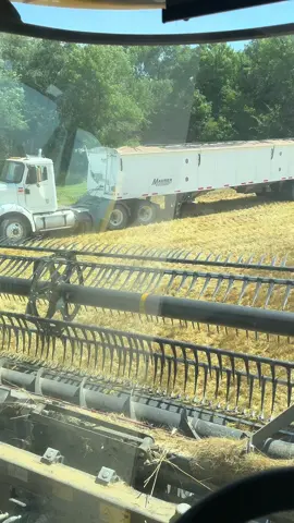 It indeed is monday #monday #farmin #messups #trending #trucks @New Holland AG @MacDon Industries Ltd @internationaltruck 