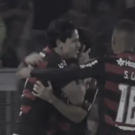 Eu te amo, Flamengo! 8x0, que timeee. 🤍 #flamengo #flaedits #arrascaeta #pedroflamengo #vitoria 