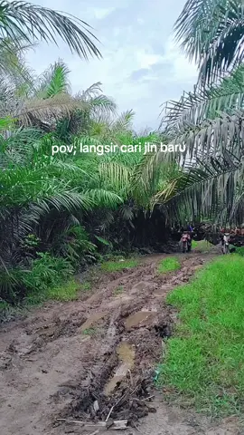 berserak la jadi nya #fyppppppppppppppppppppppp #kulisawitriau #fypシ゚ #sawitontiktok #kurirsawit 