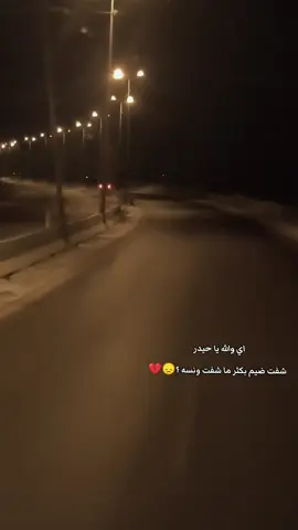 💔🕊️#حيدر_العابدي #الفنان_حيدر_العابدي #حيدر_البياتي #viralvideo #video 