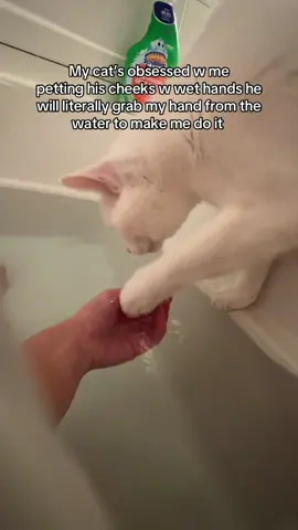 Every single time I take a bath 