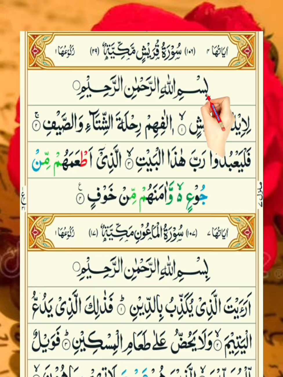 الحمدللہ! سورۃ القریش سے لے کر سورۃ الناس تک قرآن پاک کی بابرکت تلاوت 🌙💚 قرآن دلوں کو سکون اور زندگی کو روشنی عطا کرتا ہے۔ 📖 اس تلاوت کو سنیں، یاد کریں اور دوسروں تک پہنچائیں تاکہ سب کو اجر ملے۔ 🤲 #Quran #Tilawat #QuranTilawat #SurahQuraish #SurahIkhlas     
