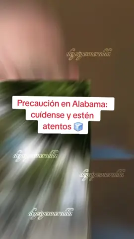 Precaución en Alabama: cuídense y estén🧊 atentos#viralvideo #paratii #migracion #compartan #enterate 