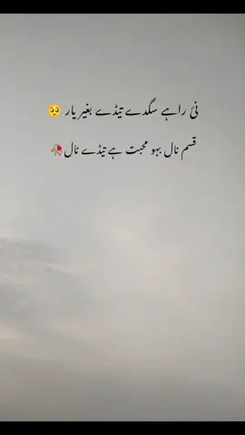 #fypシ゚  #growmyaccount✅♥️♥️♥️  #fypviraltiktok🖤シ゚☆♡  #fypシ゚  #fypviraltiktok🖤シ゚☆♡  #growmyaccount✅♥️♥️♥️  #viralvideo @Hassan Chandio 