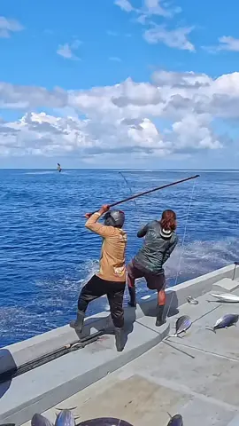 Catching Skipjack tuna Maldivian Style 🎣 #fishing #thelifeofafisherman #fyp #foryoupage 