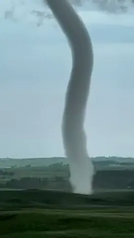 Deftones new album cover 🤝Gary SD tornado 