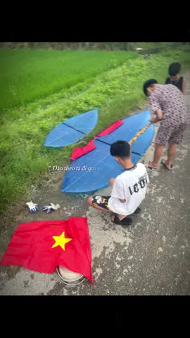 Khối diều sáocungx hưởng ứng 1 tí 2/9🙃🇻🇳🇻🇳🇻🇳🇻🇳#dieusaothainguyen #dieu #quockhanh2025 #xuhuong #dieusaovietnam 
