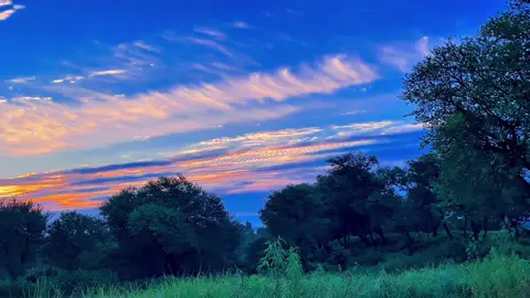 Good Morning 😊🥀❤️‍🩹❤️#pindawale #foryoupage #tiktokpakistan #1millionaudition #communitytiktok 