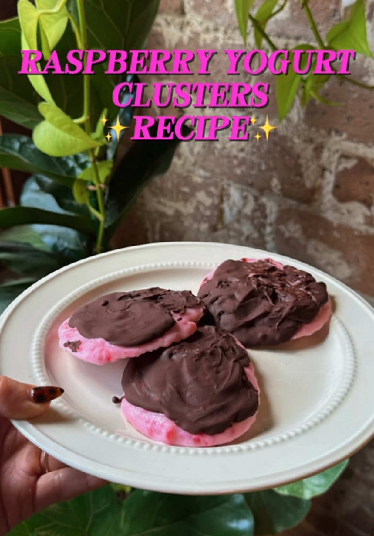 raspberry yogurt clusters⭐️🎀🤎 #highproteindessert #dessert #highprotein #healthyrecipe #proteindessert 