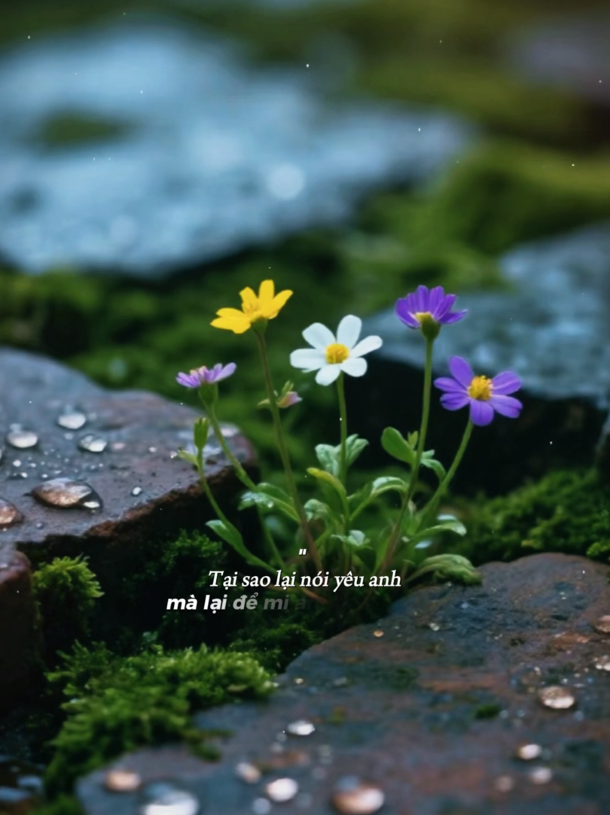 Tại sao lại nói yêu anh mà lại để mi anh ướt nhèm... #tramnhacsuyy #teddyentertainment #khongbuong #hngle #bkmuzic 