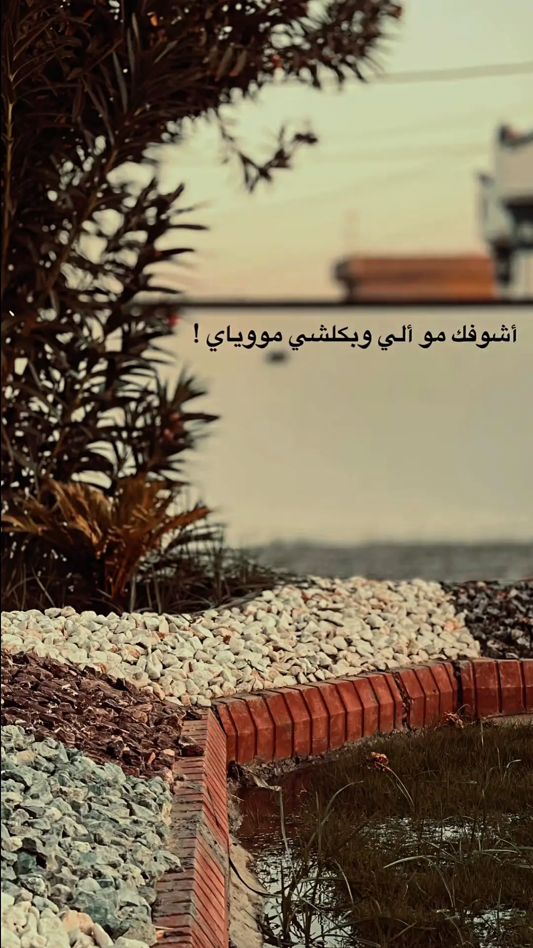 #عباراتكم_الفخمه📿📌 #fyp  #للعقول_الراقية_فقط🤚🏻💙 #شعراء_وذواقين_الشعر_الشعبي🎸 #youtube 