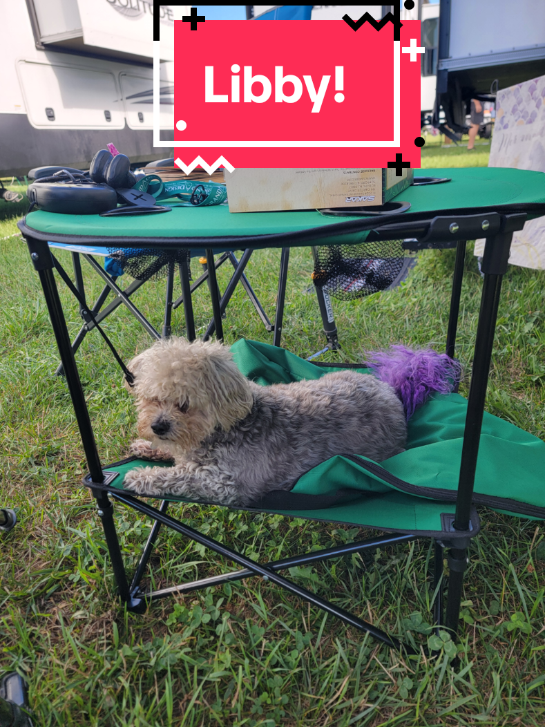 My heart!#rvlife #dogsoftiktok #fyp #creatorfund #roadtrip 