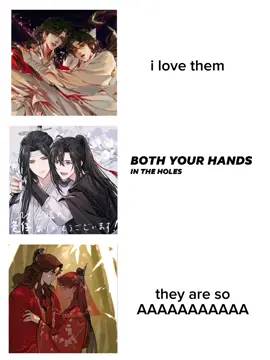 my first love 😣 #wangxian #mxtx #lanwangji蓝忘机  #novel #weiwuxian魏無羨 @Aysiqt 