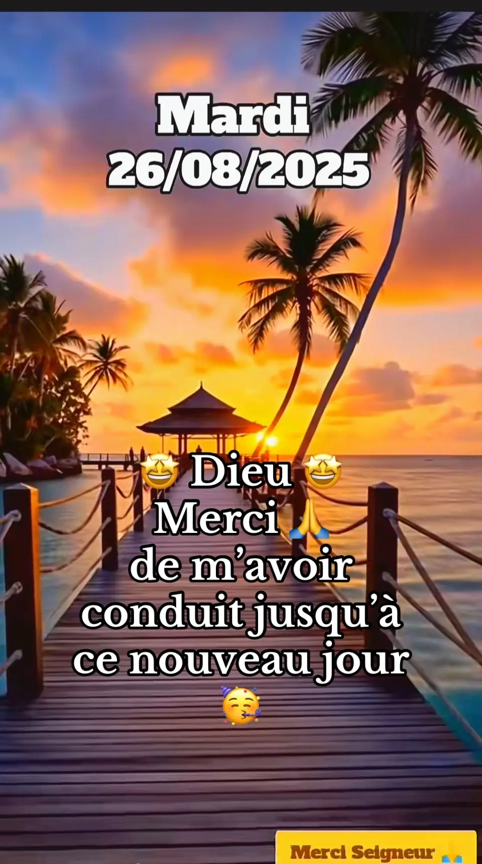 Père 🙏 bénis le travail de mes mains 🙌 et couronnes 👑 mes efforts de succès 🏆🏆🏆 #creatorsearchinsights #mercijesuspourtaprotection🙏🙏🙏 #prierechretienne #merciseigneur #magdabelle 🥳🥰🌸🌹🤩🙏 