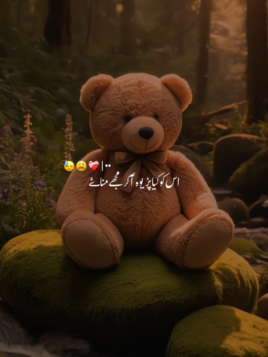 dear tiktok team please don't under review my video🙏😭 💔#pleasegoviral #viral #viralvideo🙏🙏🙏 