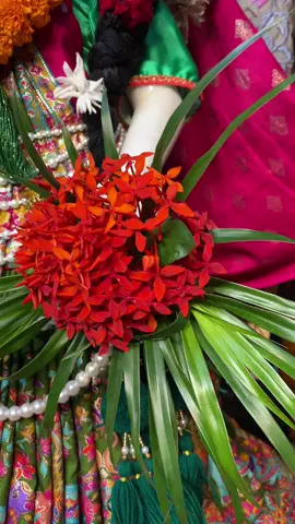 जन्माष्टमी विशेष शृंगार आरती दर्शन || Janmastami special Sringar Aarati Darshan || भाद्र १०, २०८२ (मंगलवार) || Aug 26, 2025 (Tuesday) || ISKCON Dharan, Nepal  Sri Sri Radha Madhava Chandra.#fyp #iskcon #dharan #prabhupada #iskcondharan 