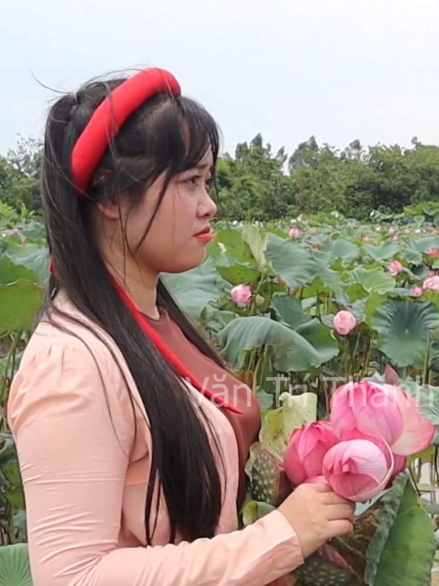 cây xanh thì lá cũng xanh. thấy anh hiền lành gửi phận cho anh #cadaotucnguvietnam #vantrithanh 