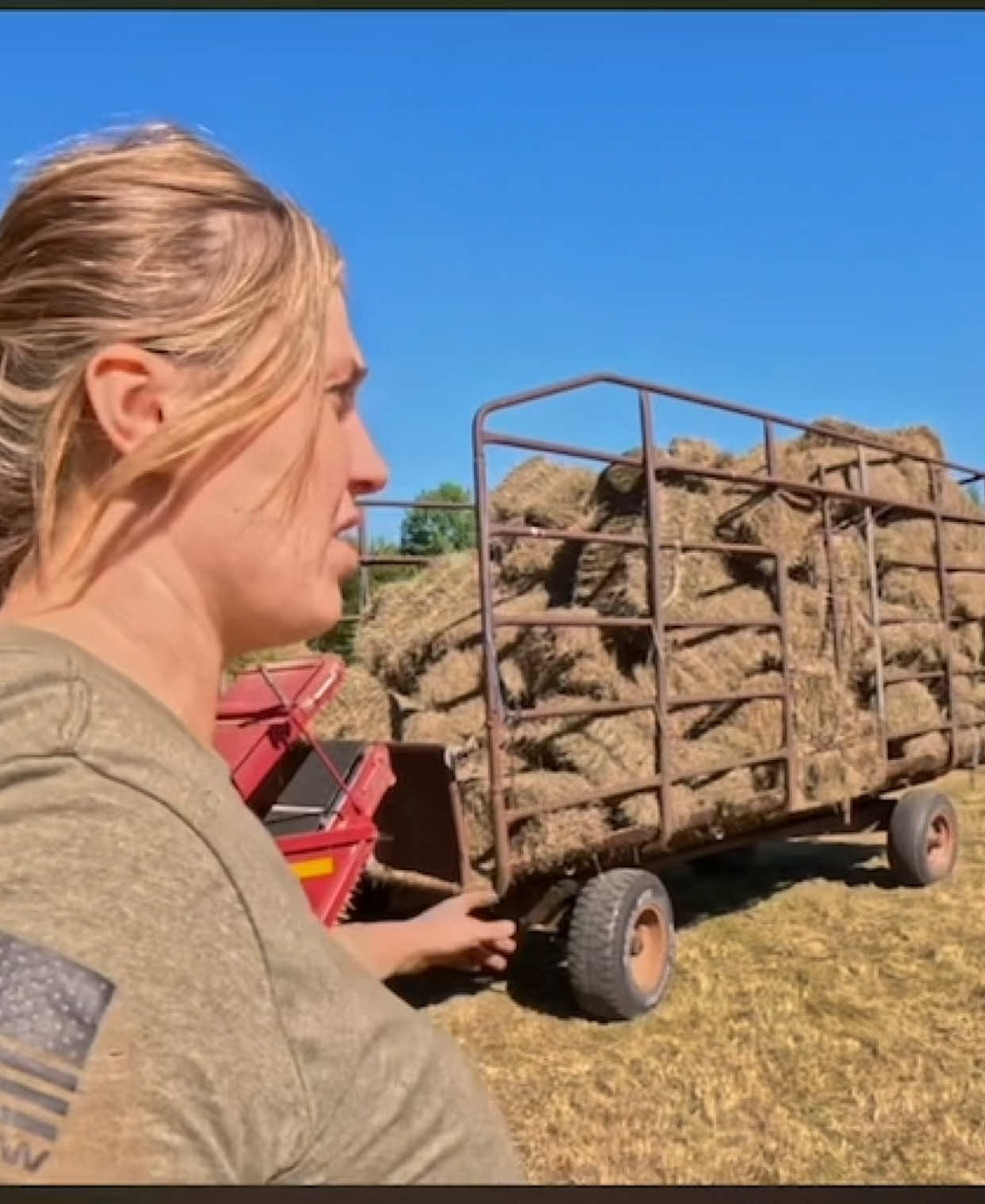 #farming #farmersdaughter #farmlife #johndeere #maine #cattlefarming #cow #international #barn #diesel #fyp #viral #masseyferguson #newholland #dayinmylife #hay #familyfarm #beef #equipment 