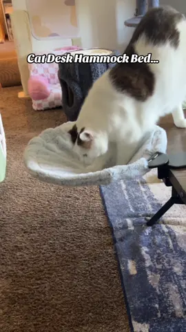 Whatever it is about this cat hammock desk bed our cats love… this cat bed for desk is so cool 🤩 #cats #catbed #catdeskbed #cathammock #tiktokshopcreatorpicks 