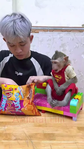 Monkey Nana: you need to know how to keep clean🐒🙉🙊😂#nana #fyp #usa_tiktok #animalhouse #animalhouse 