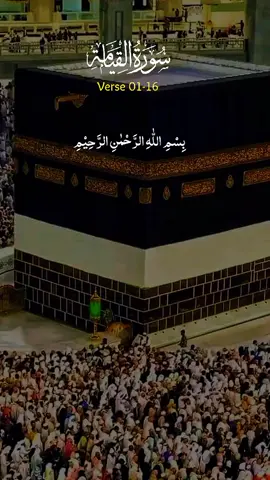 Islamic Al Quran translate in Urdu#foryou #like #share 