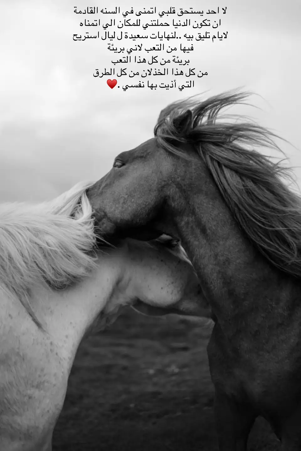 #كلام_من_القلب 