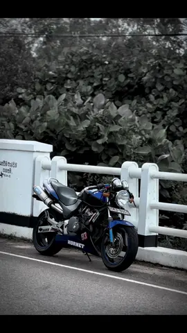 මේ බෝඩරේ ඉන්නේ එකෙක් නෑර සුපිරි චරිත ඩෝ 😮‍💨🖤 #honet250 #hornetridersclub🐝🇱🇰hrc #downsouth🇱🇰 #aluthgama #matara #dikwella #100k 