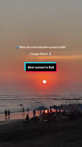 The most beautiful sunset in Bali is Canggu Beach. Agree w me? 😁 #canggu #sunsetbali #visitbali #fyp #fypシ゚viral 