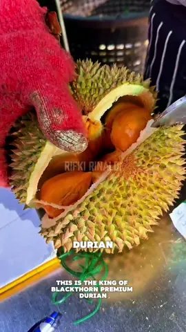 Black thorn durian sultan rasa SURGA! 😇 #blackthorn #durianlover #durianblackthorn #fyp 