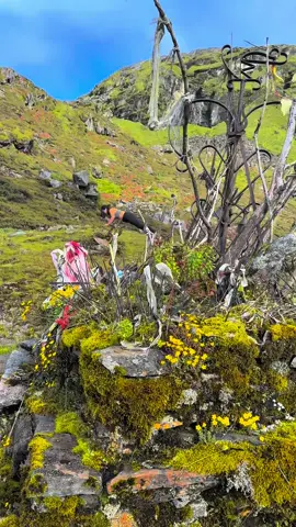 #neturalbeauty #4340m #heaven #visitnepal #timbungpokharitrekking🇳🇵 #foryoupageofficiall❤️❤️tiktok #taplejung_muser♡🍁💟🇳🇵🙏 #2025tiktok #Anjananalbolimbu❤️🙏 #sewaroo_hai_sabailai❤️🙏 #CapCut 