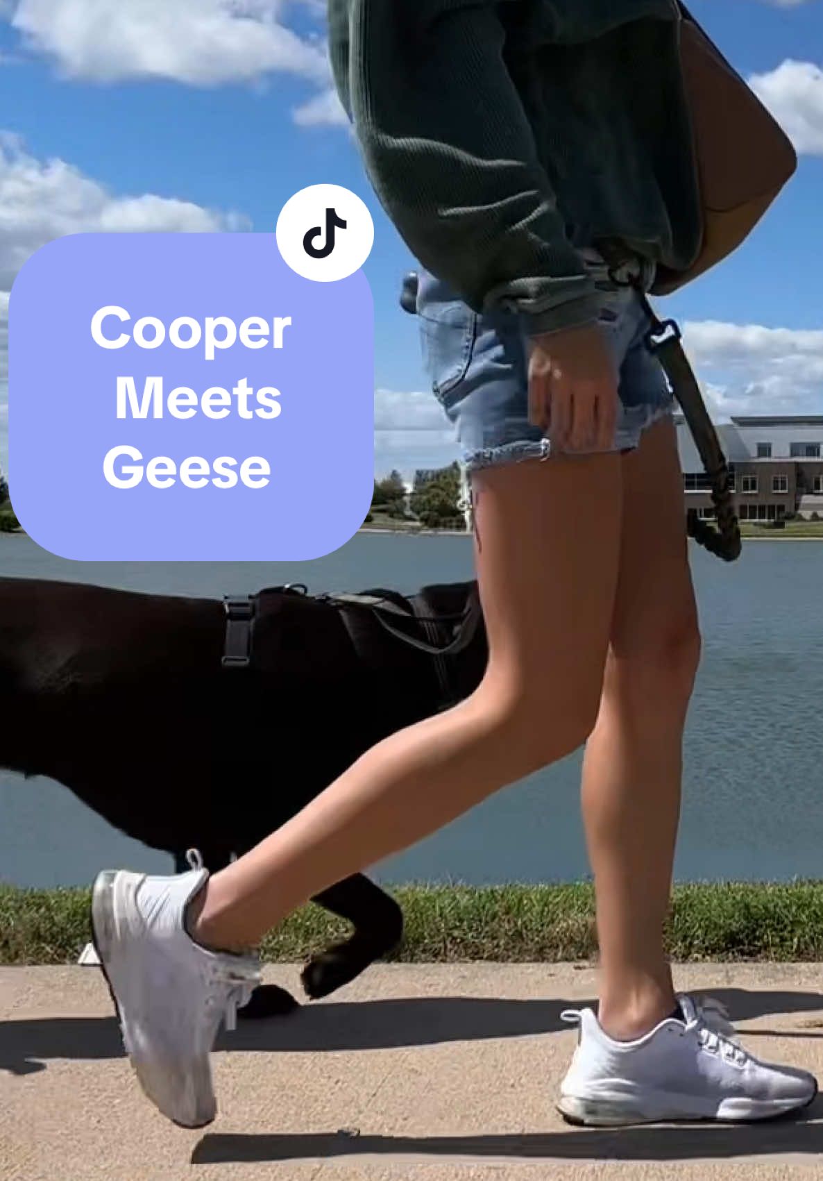 Taking Cooper Somewhere He’s Never Been 🪿