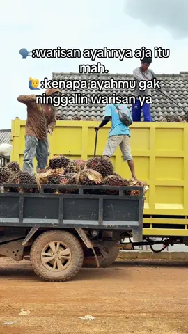 Gk bisa nyaingi ya🤫#petaniindonesia🇮🇩🇮🇩🇮🇩🌿🌿 #petanisawitsukses #fyppppppppppppppppppppppp 