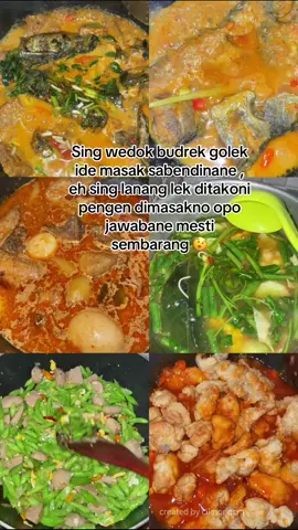 Sesok oseng-oseng kadal mawon ngge🫨 #fyp #idemasak #menusimple #masakanrumahan 