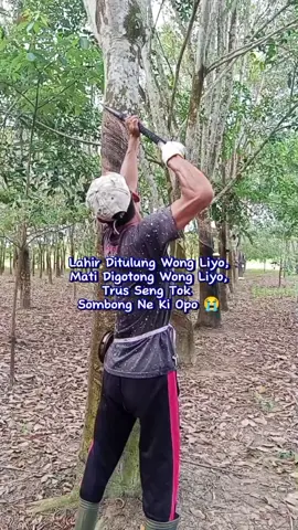udu sopo-sopo Yo ora iso Opo-opo #petanikaretindonesia 