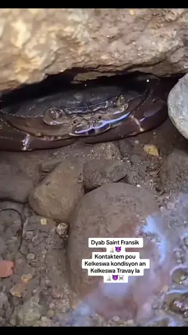 Viv dyab la viv regleman an #ginen #ayisyentiktok🇭🇹 #saintdomingue🇩🇴 #bresil🇧🇷 #haitiantiktok🇭🇹 #vodouayisyen #vodouayisyen #manbosipote💯✅🙏🏿🥰 #vodou #ayisyentiktok #ayiti #capcut #ougansaintfransik #vodou #ayisyentiktok @Dyabsaintfransik1 @@Tasha♈️🔥🔥🔥 @🇭🇹Gazman 👌 Big 👊Cantal🇭🇹 @abee la courageuse ❤️😍🥰🥰 @bibi lovah💕😘♊️♊️ @~Yesenia0521♥️ @Ariana🥺❤️ backup🔥🔥 