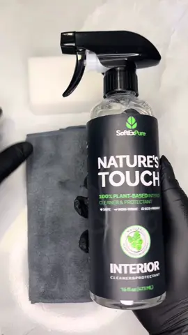 #creatorsearchinsights #limpiadordeinteriores #naturestouch 