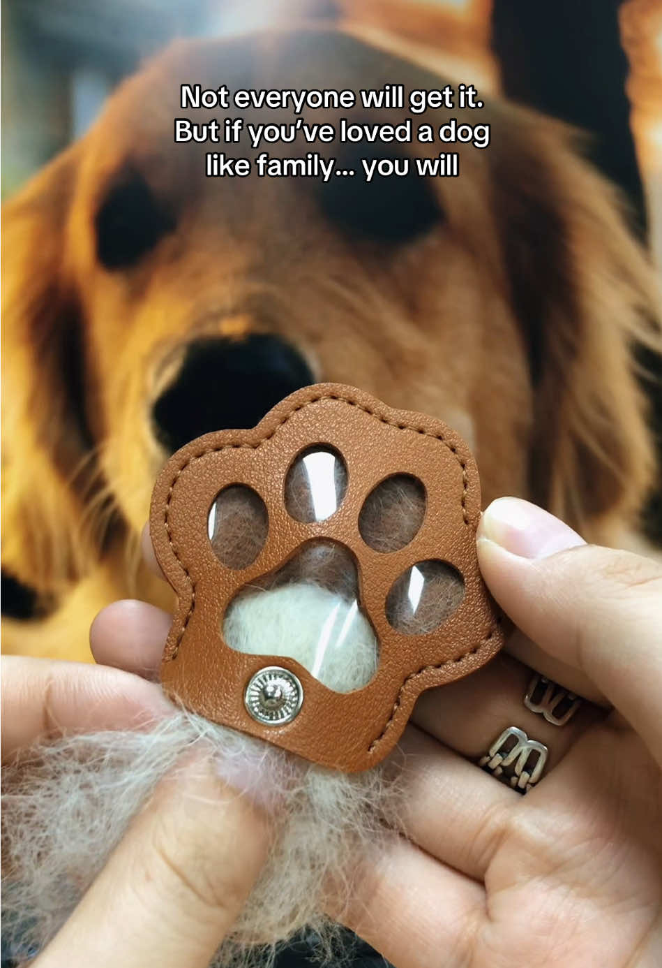 #dog #dogsoftiktok #doglover #dogmom #pet 