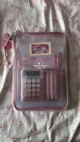Replying to @Anverfinds❣︎ you mean this organizer? kasya sa bag girl! 🎀💫#organizer #fileorganizer ##stationery #schoolsupplies #fyp 