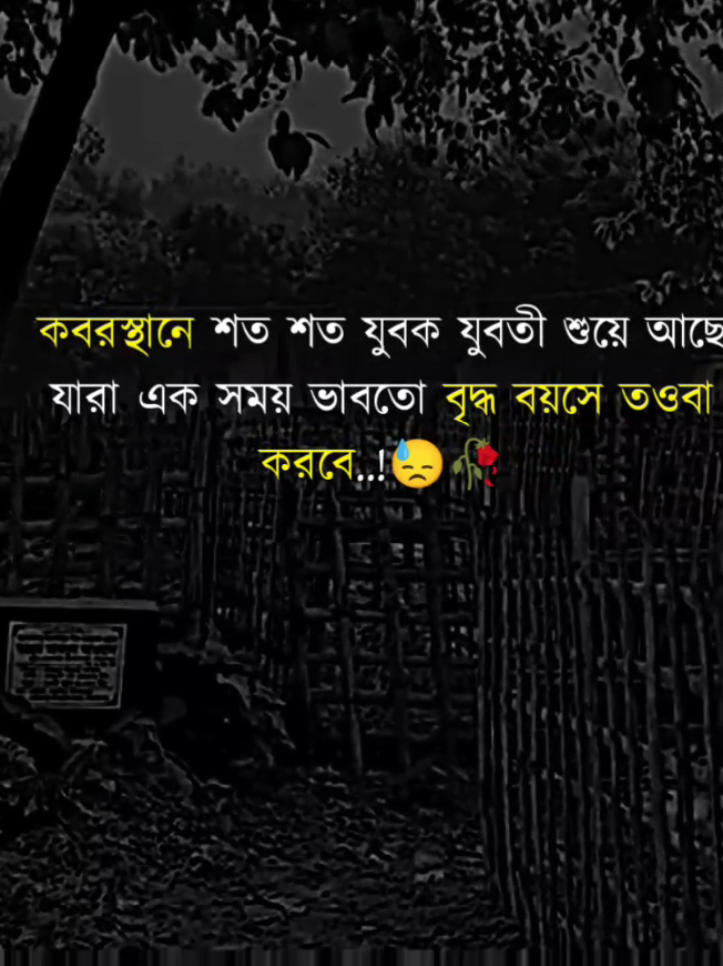 কবরস্থানে শত শত যুবক যুবতী শুয়ে আছে, যারা একসময় ভাবতো বৃদ্ধ বয়সে তওবা করবে..!😓🥀#fypシ #foryou #rabbi_official_02 #unfrezzmyaccount..!
