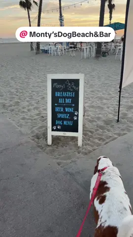 When we go on vacation we visit dog friendly places like @Monty’s Dog Beach & Bar 🐾 My pupptini was excellent 🍸 The music was stellar 🎵 The bar is off-leash 🐶 The treats are delicious 🦴 And the sunset was perfect! 🌅  There is an obstacle course for pups that feel the need to workout 🙄 1️⃣0️⃣ ⭐️ outta 5