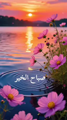 #مقاطع_دينيه_قصيره🌹 #استغفر_الله_واتوب_اليه❤️ 