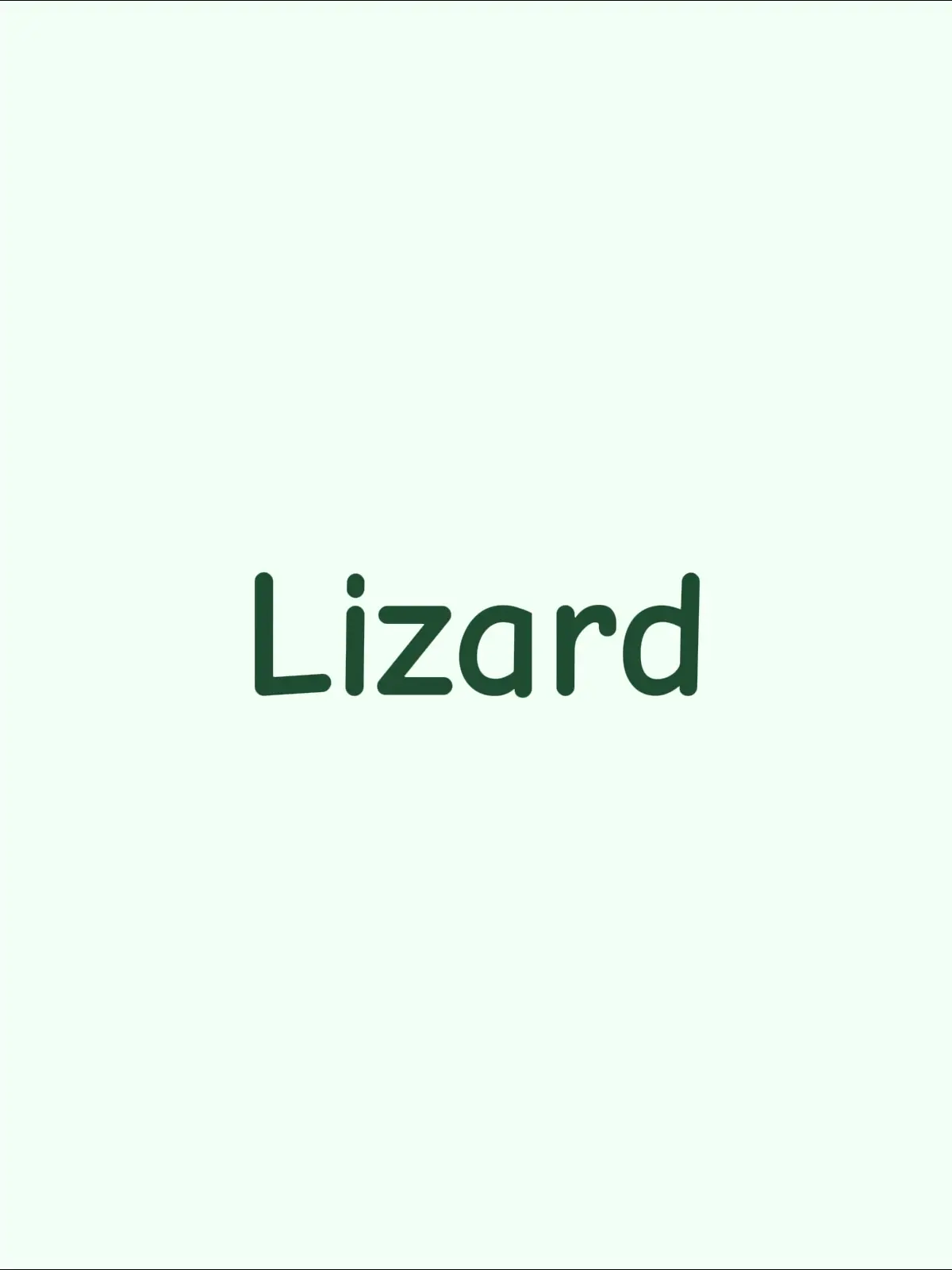 Lizard #Lizard