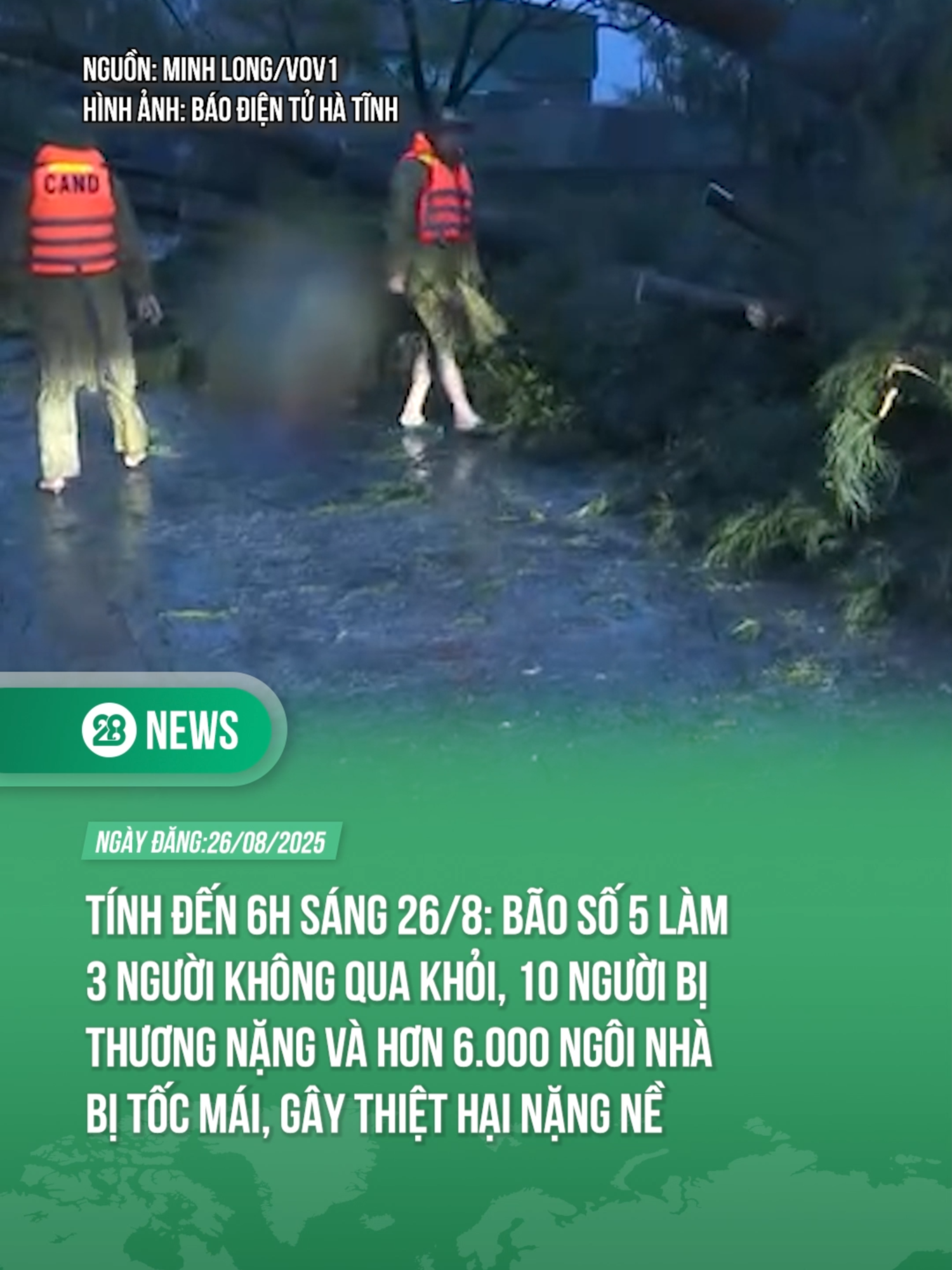 NHỮNG THIỆT HẠI NẶNG NỀ DO BÃO SỐ 5 GÂY RA #theanh28 #tiktoknews #theanh28news
