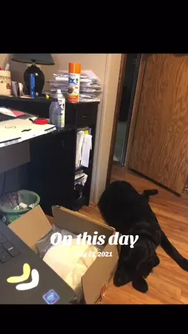 #onthisday