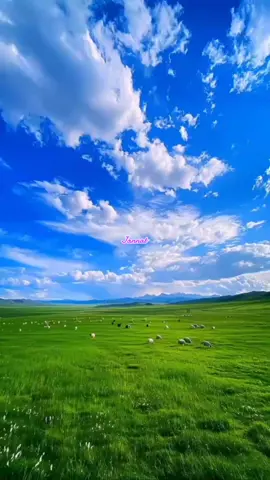 #ইসলামিক_ভিডিও_🤲🕋🤲 #ফরইউতে_দেখতে_চাই #viraltiktok #bdtiktokofficial🇧🇩 