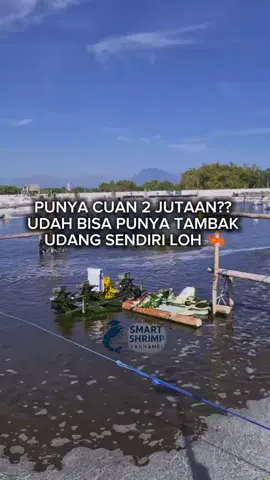 🏆 Kepercayaan Anda, prioritas kami. Bersama MODAL TERNAKIN: ✔️ Modal kecil mulai Rp2 juta ✔️ Legalitas resmi ✔️ Kontrak 1 tahun ✔️ Transparansi sistem 💡 Saatnya ambil langkah menuju bisnis produktif & aman. #fyp #bisnisonline #UsahaSampingan #fyppppppppppppppppppppppp #fypage 